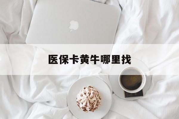 苍南最新医保卡黄牛哪里找方法分析(最方便真实的苍南医保卡的事情去哪里咨询方法)